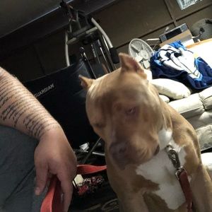 Meet your Posher, Chris